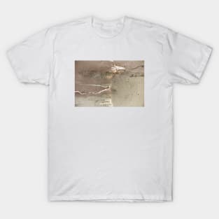 Leaking concrete 9 T-Shirt